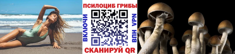 Галлюциногенные грибы Cubensis  KRAKEN зеркало  Амурск 