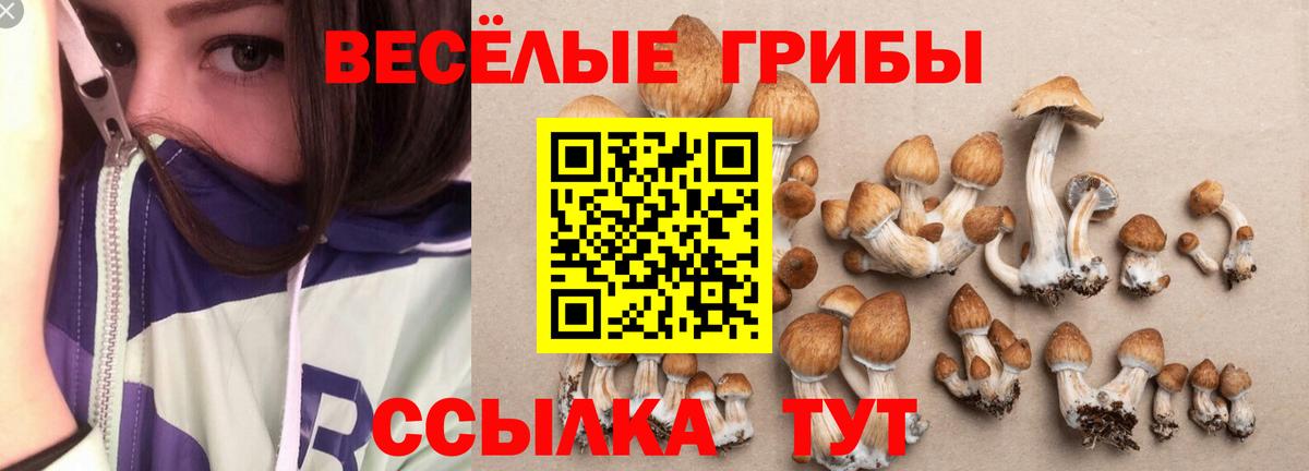 ГАШ  Амурск  ГАШ  Кокаин  Меф МЯУ МЯУ   Вход с VPN 
